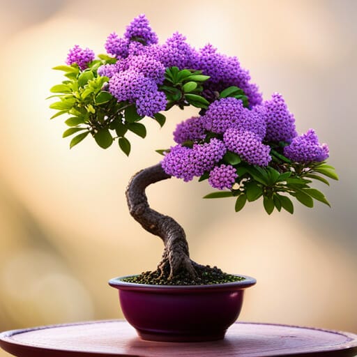 An